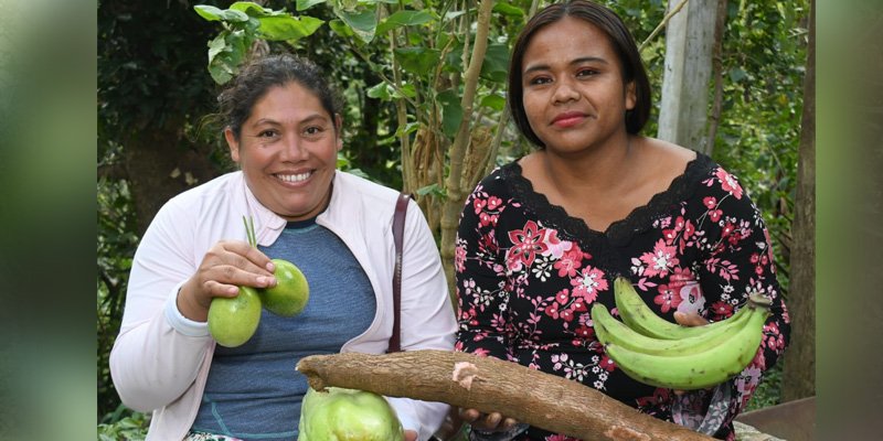 Lanzan Programa Educación Técnica en el Campo el que atenderá a 43,500 productores este año