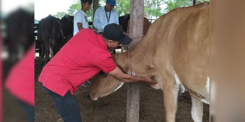 INATEC impulsa el desarrollo rural desde Matagalpa
