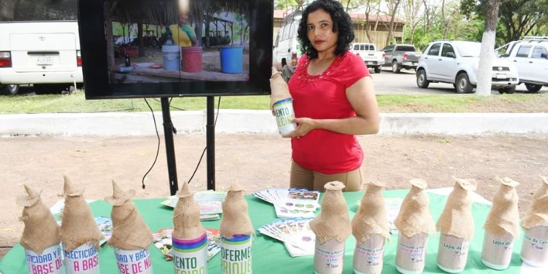 Más de 45,000 jóvenes y productores se capacitarán con el Programa Educación Técnica en el Campo