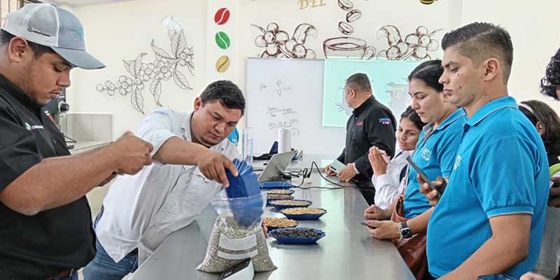 Estudiantes y maestros fortalecen competencias en catación y métodos de elaboración de café