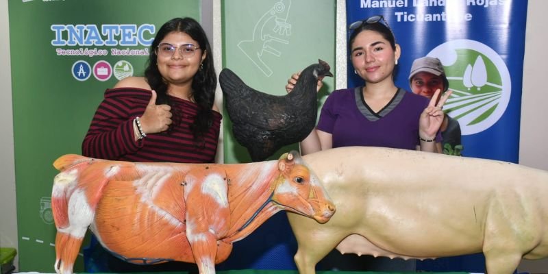 Festival celebra la Paz y el aprendizaje del inglés en la Educación Técnica