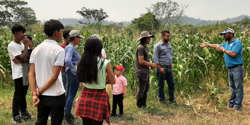Un recorrido más allá del aprendizaje: Conociendo las Unidades Productivas del Centro Tecnológico Santiago Baldovino