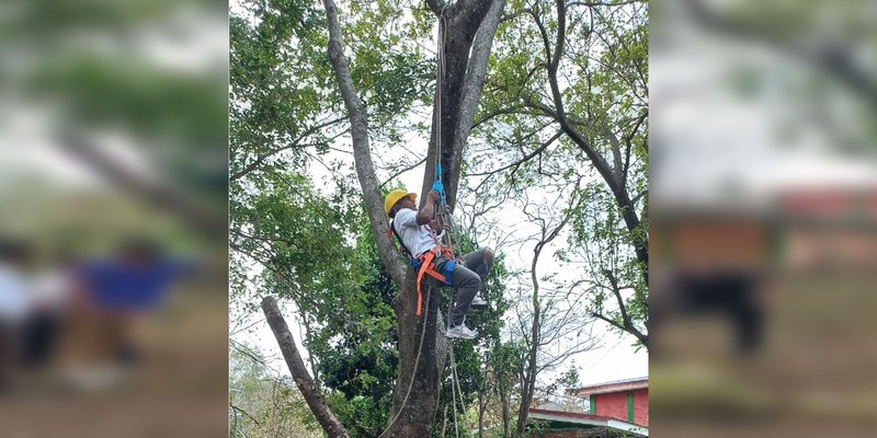 Celebran Día Mundial Forestal en el Centro Tecnológico Olof Palme de Estelí